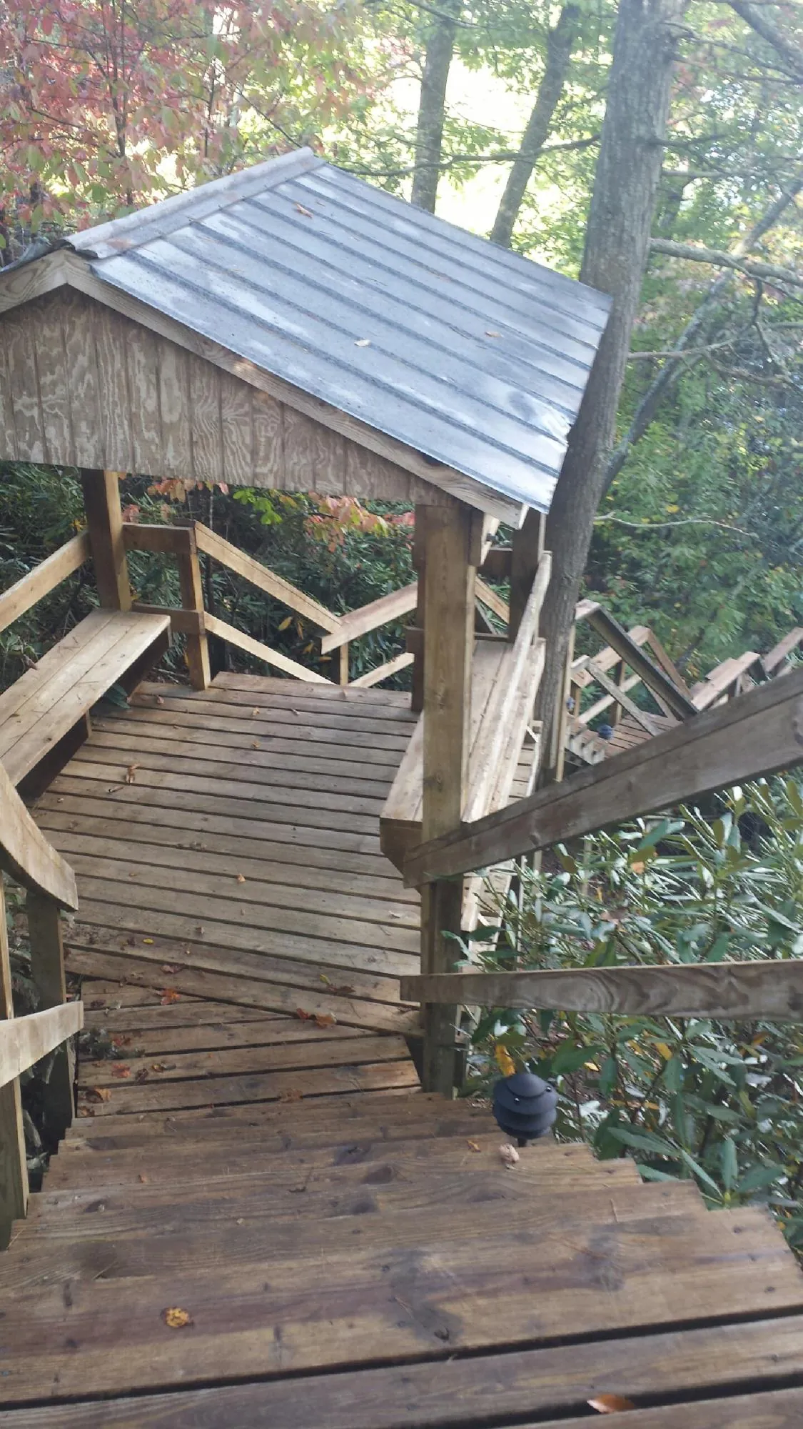 Metal roofed shelter over wooden steps on a wooded walkway — Skylight Repair & Installation work by our crew in Fleetville
