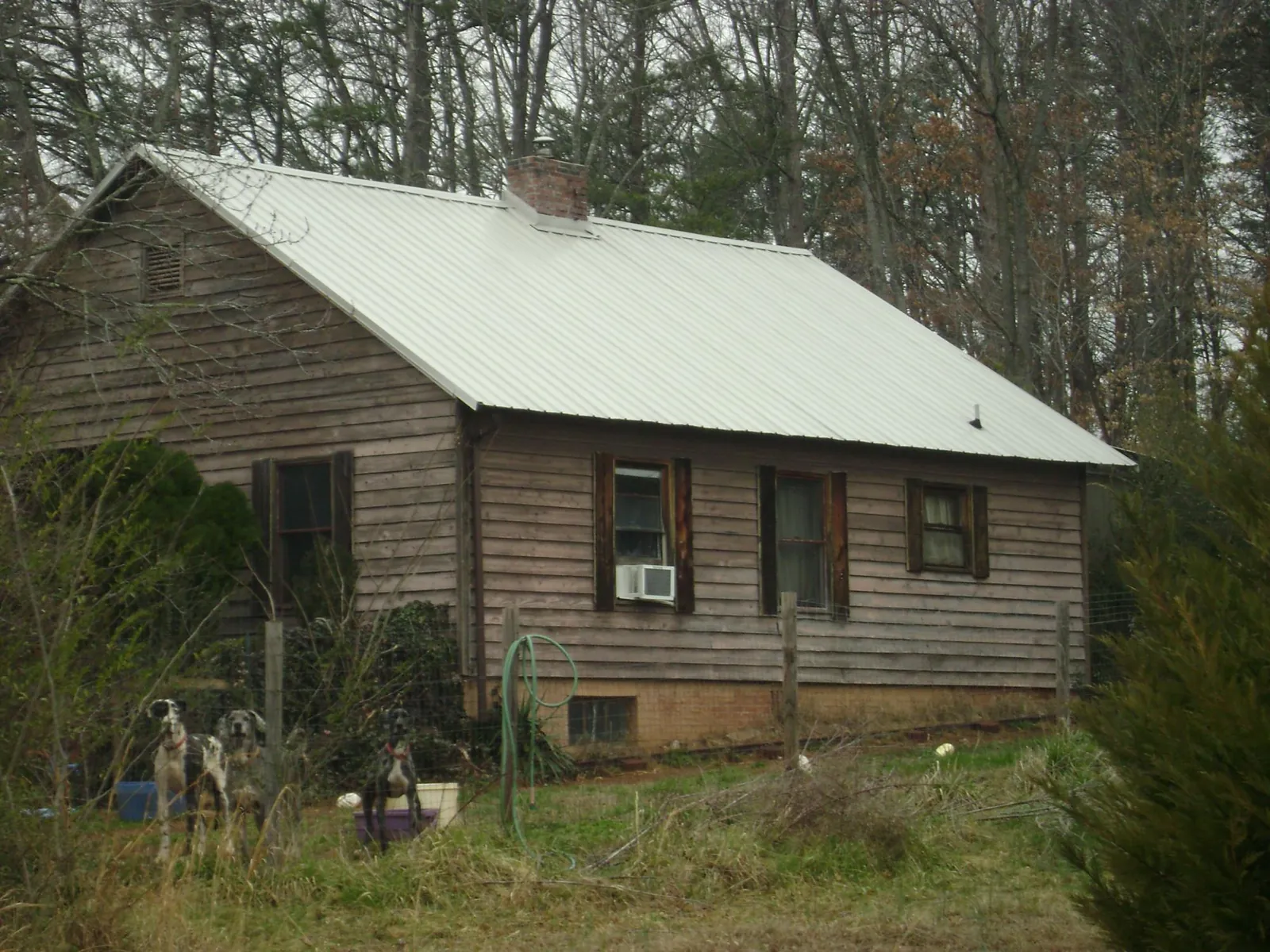 White metal roof on an old wood sided farmhouse, from a Asphalt Shingle Roof Repair job in Fleetville
